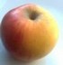 pomme